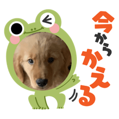 SANAE_20230621213814