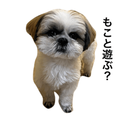 kamataasako_20230621172419