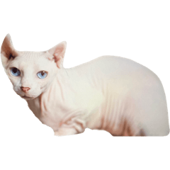 SHIHO_20230621215008