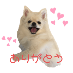 OMOCHI_20230621214803