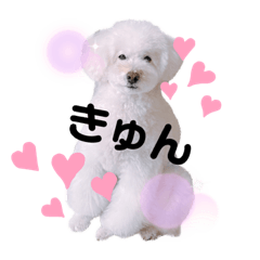 yuka_20230622001118