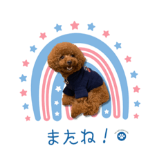 hikaru_20230621180709