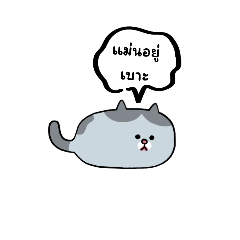 Taellページとなります☻