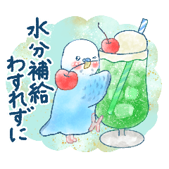 Summer of parakeet