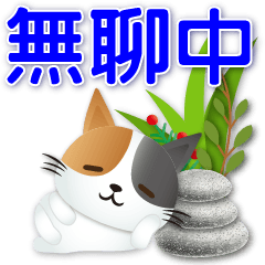 Q Calico Cat-Practical Greeting Phrases