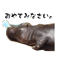 生き物の日常スタンプ