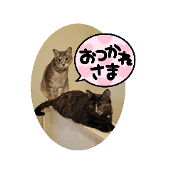 nao_20230622095910