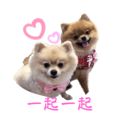 甜&蜜的日常