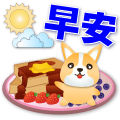 Cute corgi & delicious food-Practical