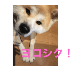 MICHIKO_20230622154521