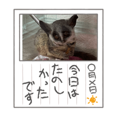 yuka_20230623101439