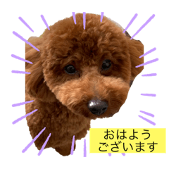 kuremu_20230623084515