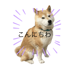 suzu_20230623071458