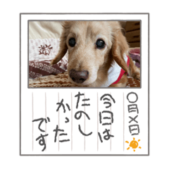 msk_20230622194120