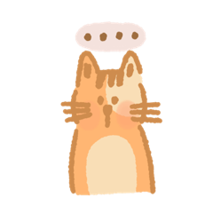 Luca the orange cat!