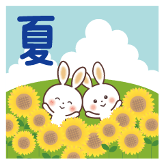 Fluffy Rabbit [Summer]
