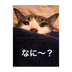 hana_20230622200914