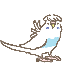 birds_animation