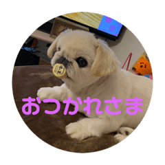 sadakoge_20230622164715