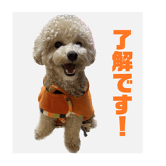 kana_20230622174628