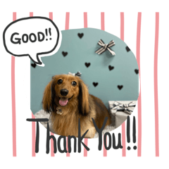 SMILE_20230623125035