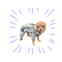 uni.power_20230622222040