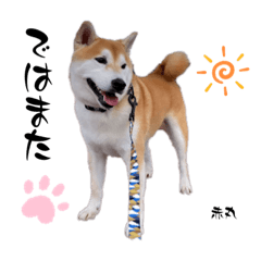 OMOCHI_20230623000740