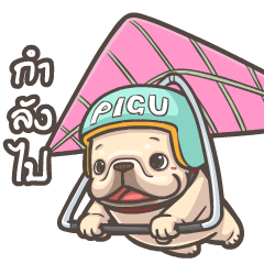 พิกุ - เฟรนช์ บูลด็อก 16