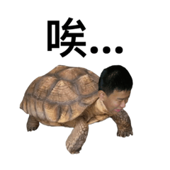 小柏來囉8