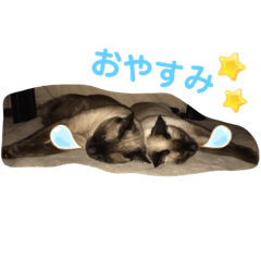 Natsumi_20230624093622