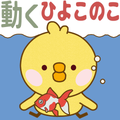 hiyokonoko move