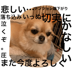 riri_20230624002240