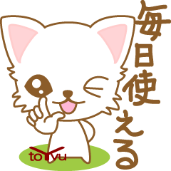にゃんこ日和(ペルシャ猫)-toYvu-
