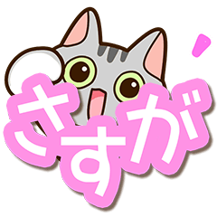Sticker of American shorthair Cat.2
