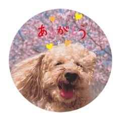 nao_20230623201456