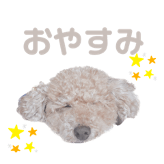 Kuu_20230623202611