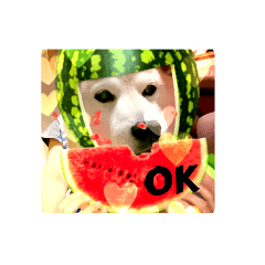 sakura_20230623202603