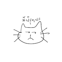 BAMXZ_20230623233432