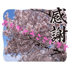 peco_20230623163447