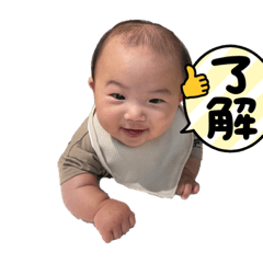 koto_20230623200707