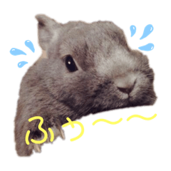 yukari_20230623205224