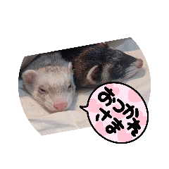 kuu_20230623212331