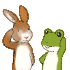 Daily life of a rabbit and a frog