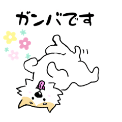 Nao_20230624132105
