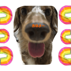 SHIHO_20230624122909