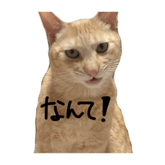 NATSUMI_20230624135222