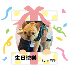 小鬥牛QQ(⁎⁍̴̛ᴗ⁍̴̛⁎)