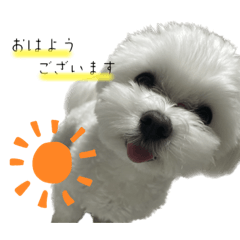 mashuuuu_20230624165815