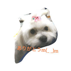 usshi_20230624174730