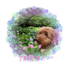 SAYURI_20230624201336